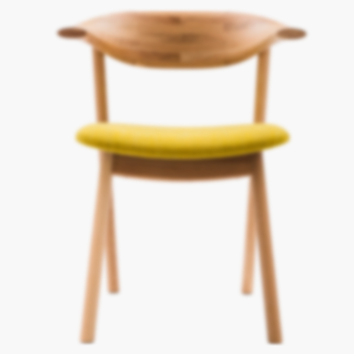 slider-main-demo-dummy-1